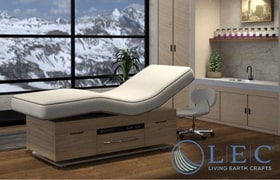 Living Earth Crafts spa bed