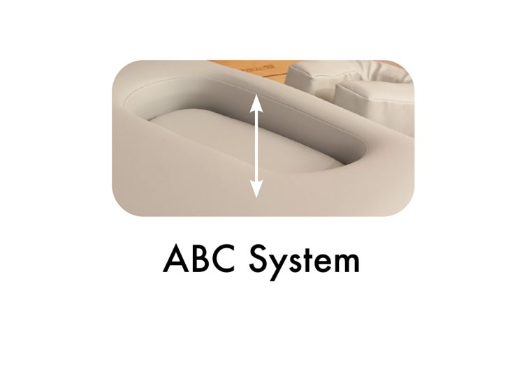 Clinician Electric-Hydraulic Lift-assist Salon Top