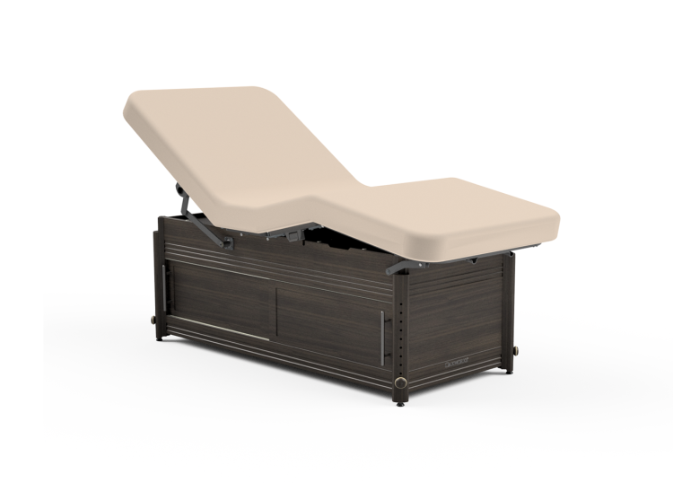 Clinician Adjustable Lift-Assist Salon Top
