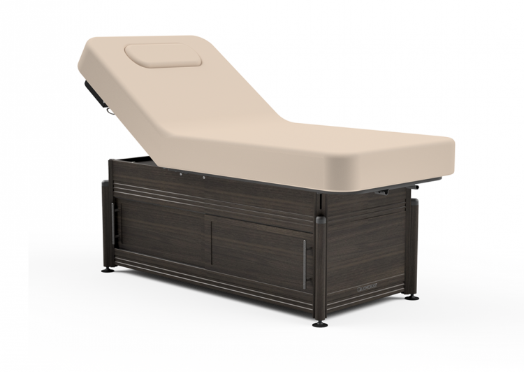 Clinician Manual-Hydraulic Lift-Assist Backrest Top
