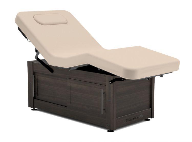 Clinician Premiere Electric-Hydraulic Electric Salon Top