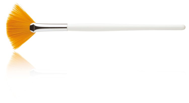 Spa Pro Fan Mask Brush